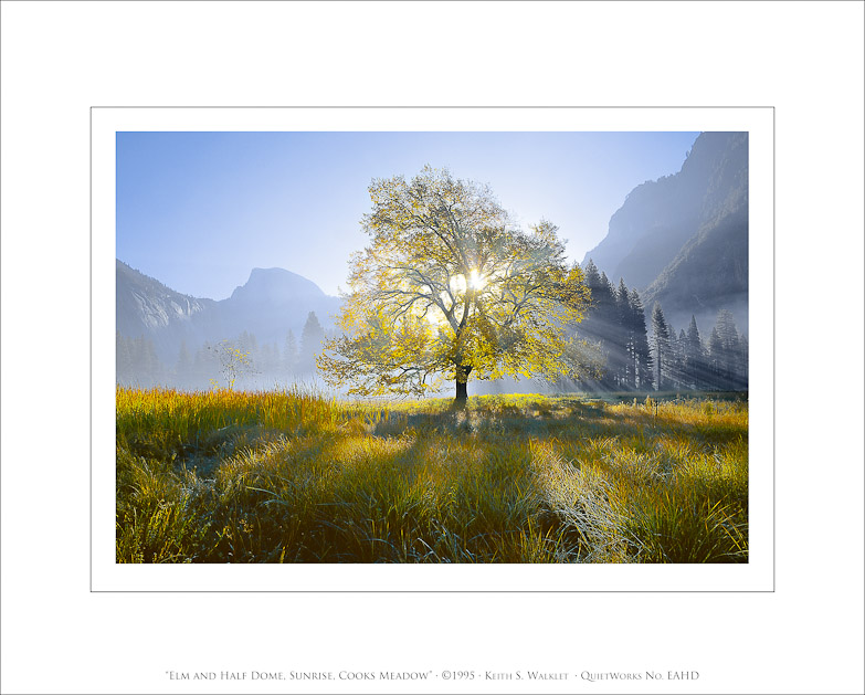 Elm and Half Dome, Sunrise, Cooks Meadow, 1995