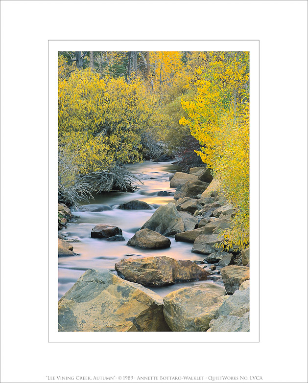 Lee Vining Creek, Autumn, 1989