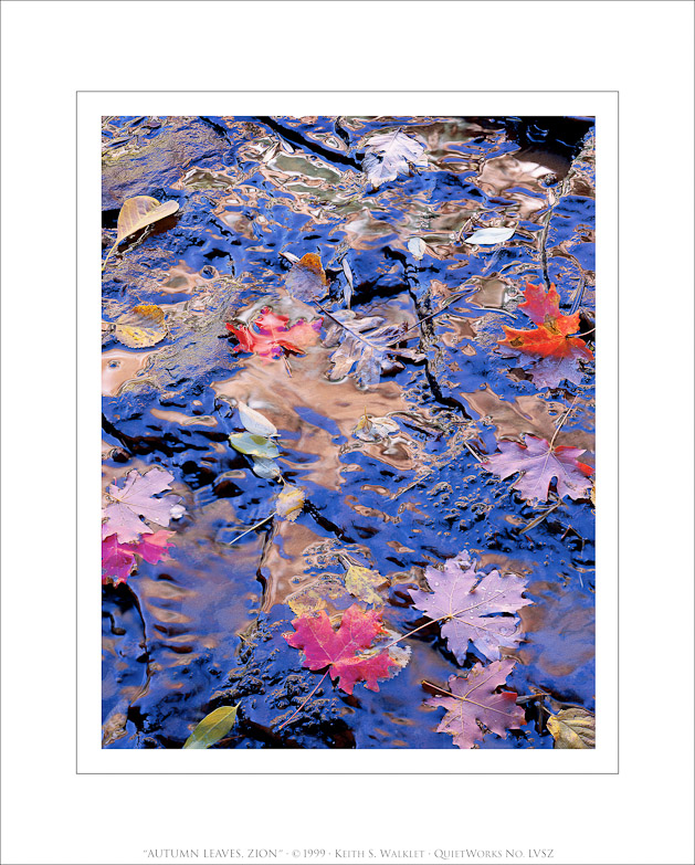 Autumn Leaves, Zion, 1999