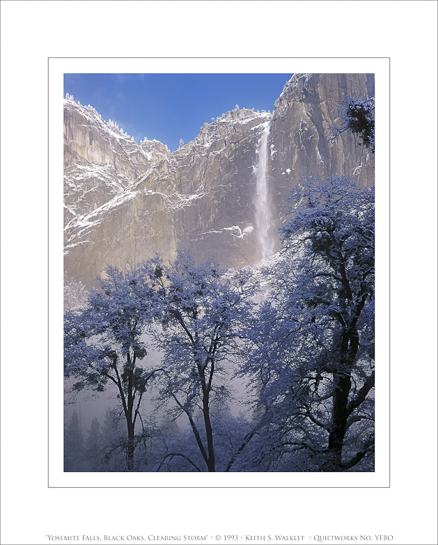 Yosemite Falls, Black Oaks, Clearing Winter Storm, 1993