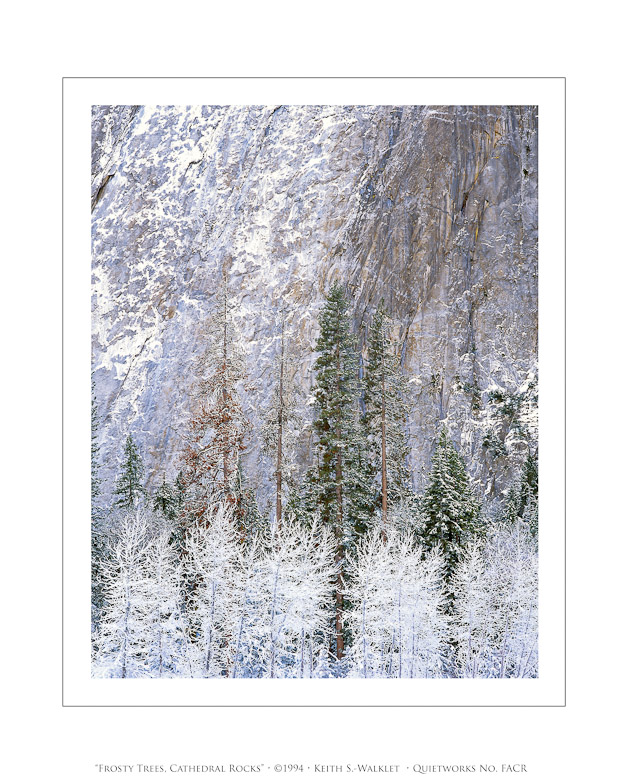 Frosty Trees, Cathedral Rocks, 1994