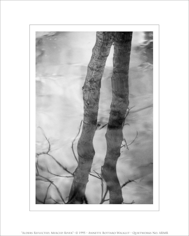 Alders Reflected, Merced River, 1995