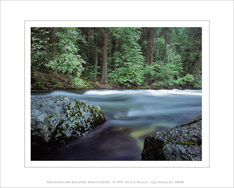 Dogwood and Boulders, Merced River, 1994