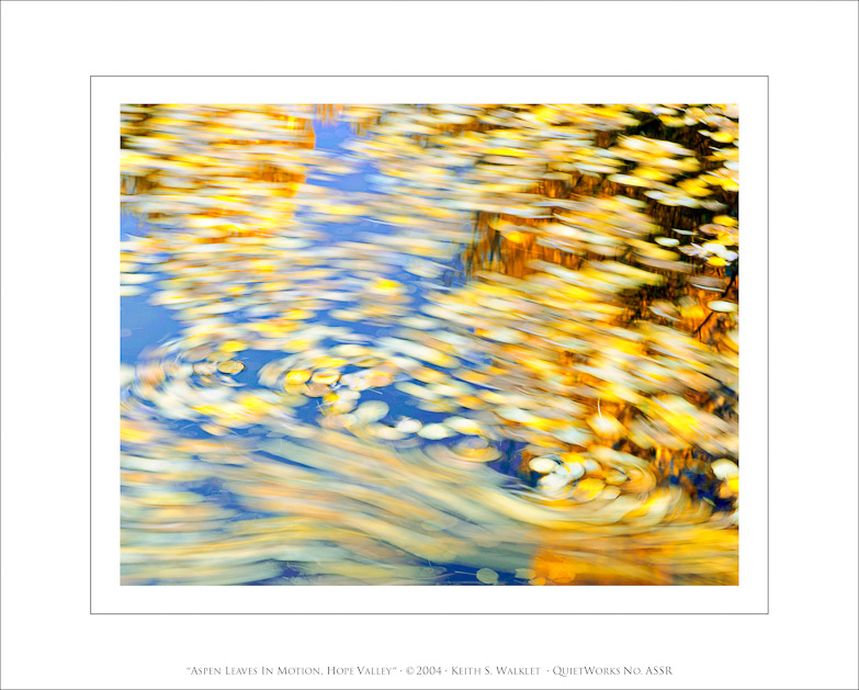 Aspen Leaves in Motion, Hope Valley, 2004