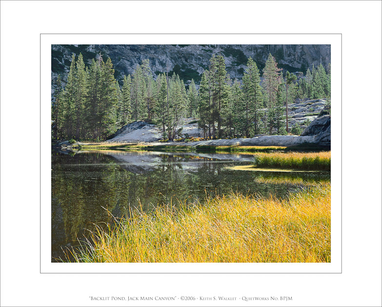 Backlit Pond, Jack Main Canyon, 2006