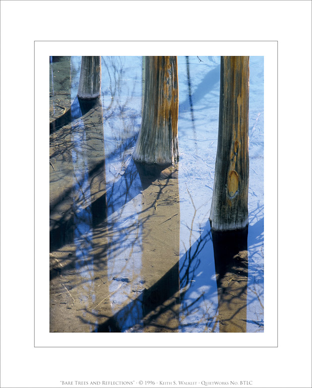 Bare Trees and Reflections, 1996