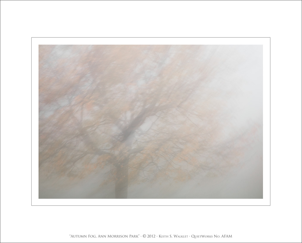 Autumn Fog, Ann Morrison Park, 2012