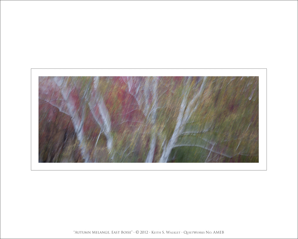 Autumn Melange, East Boise, 2012