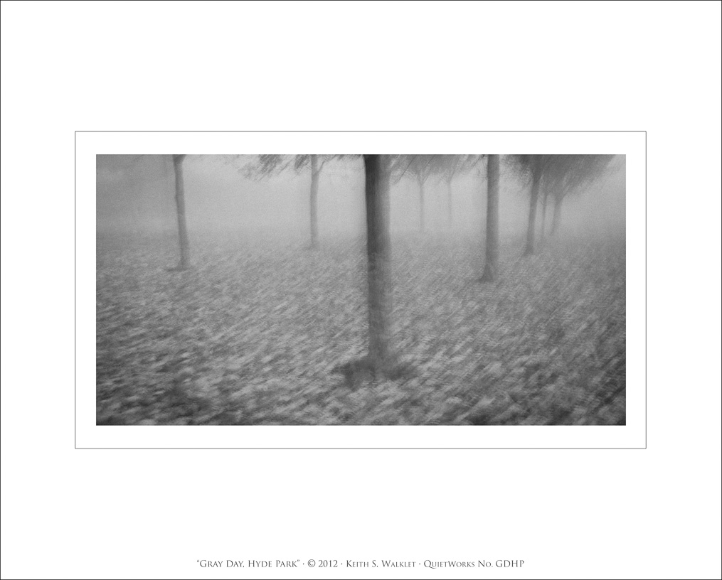 Gray Day, Hyde Park, 2012