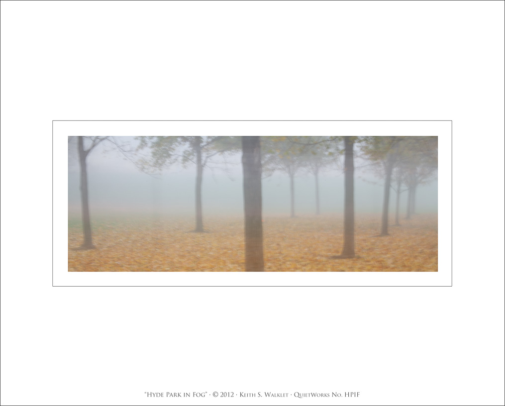 Hyde Park in Fog, 2012