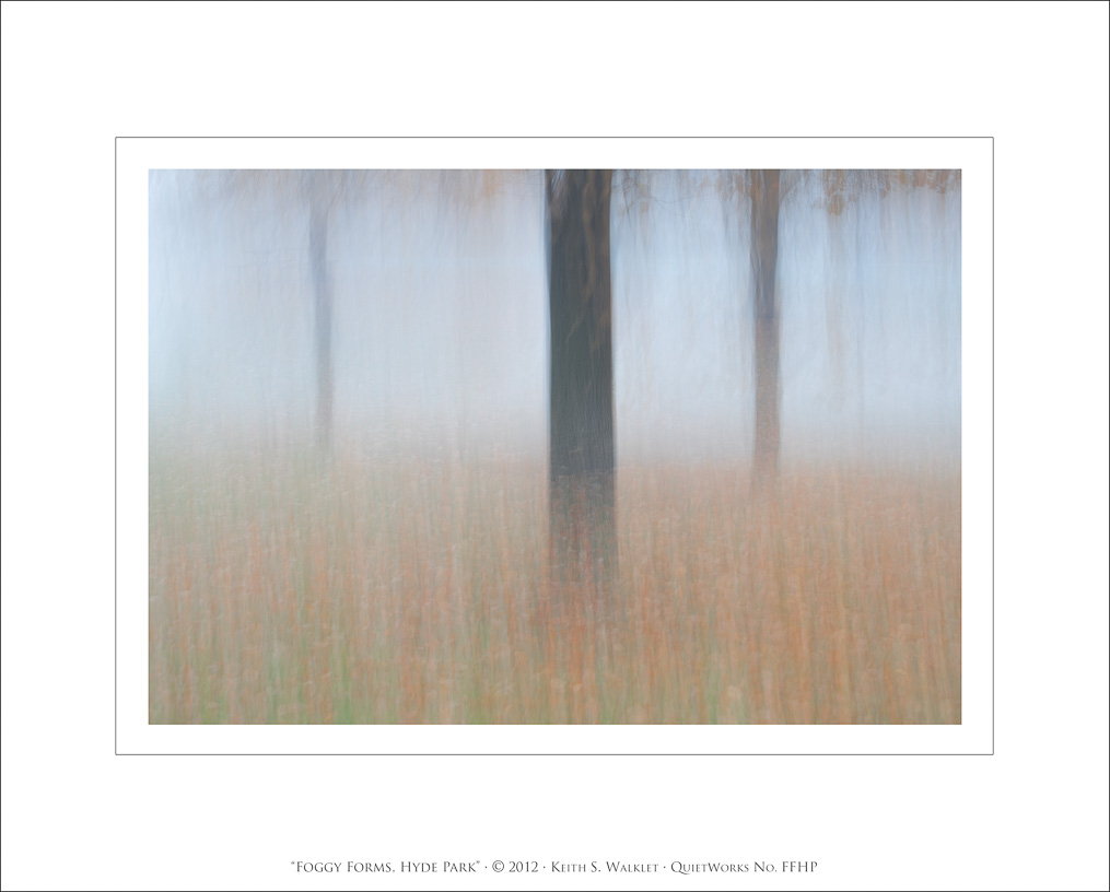 Foggy Forms, Hyde Park, 2012