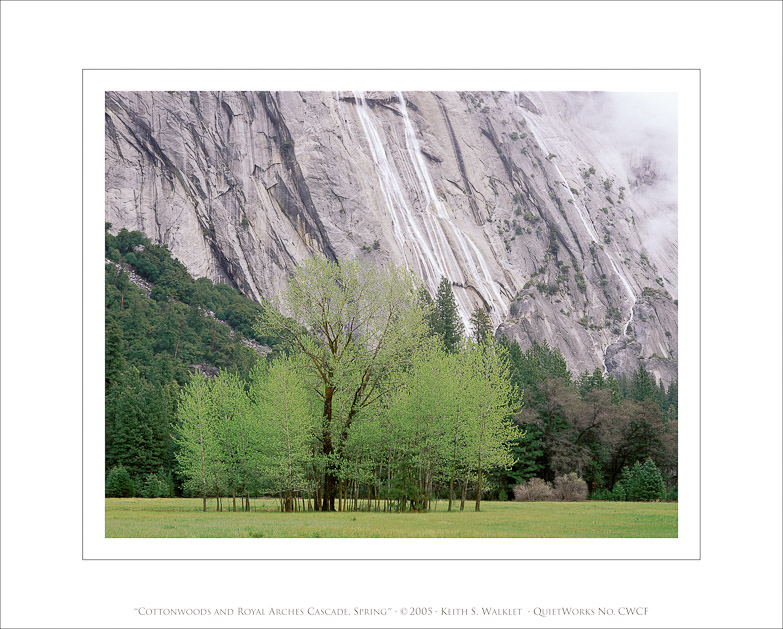 Cottonwoods and Royal Arches Cascade, Spring, 2005