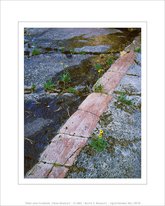 Dike and Flowers, Twin Bridges, 2002