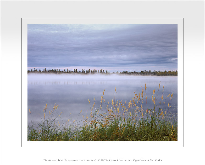 Grass and Fog, Kashwitna Lake, Alaska, 2005
