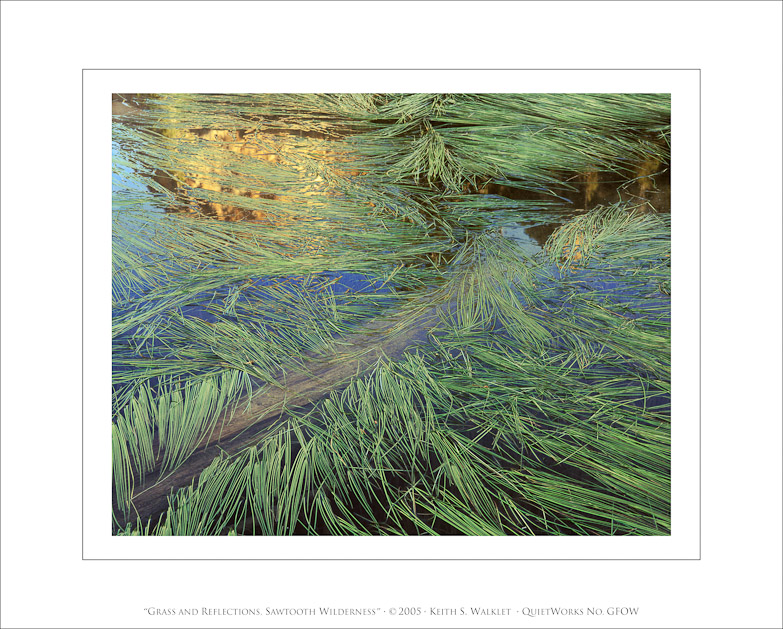 Grass and Reflections, Sawtooth Wilderness, 2005