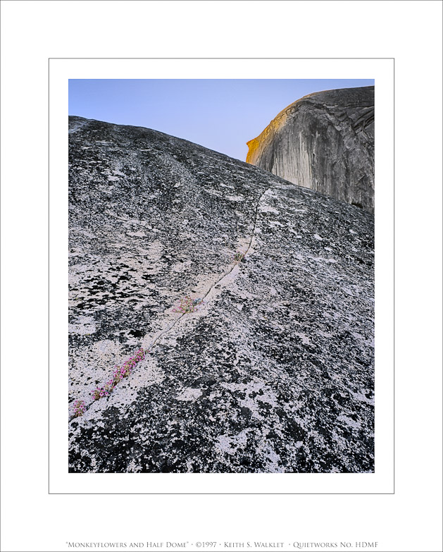 Monkeyflowers and Half Dome, 1997