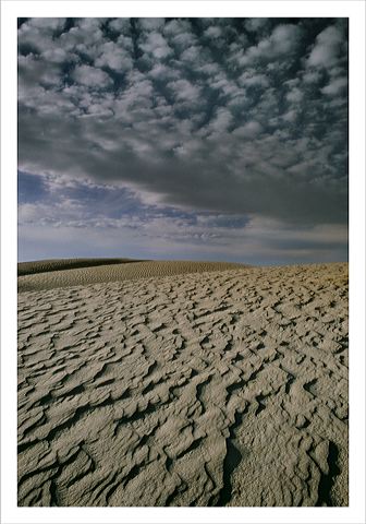 newsand_5x7_shup.jpg