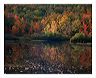 afnh_8x10_iview_5x7_gs