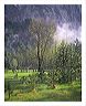 csam_8x10_iview_5x7_gs