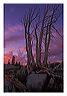 dngt_8x10_iview_5x7_gs