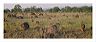 fsnf_4x10_wbgs