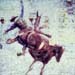 FLBB 1212 SHUPiphoto 6x6