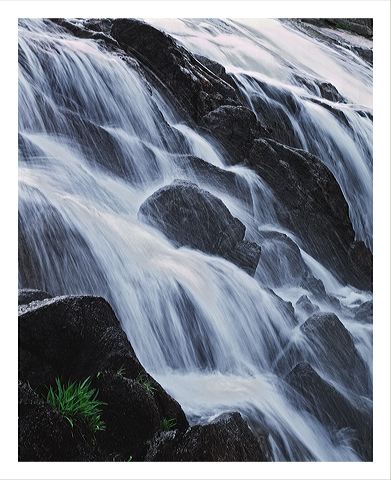 cbwf_8x10_iview_5x7_gs.jpg