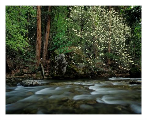 dwar_8x10_iview_5x7_gs_5x_7.jpg