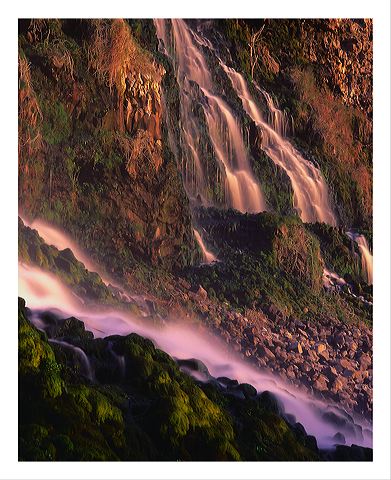 thsp_5x7_shup.jpg