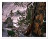 anst_5x7_shup