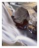 bawv_8x10_iview_5x7_gs