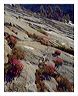 bpop_8x10_iview_5x7_gs_5x7_