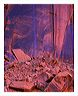 bsmc_8x10_iview_5x7_gs_5x7_