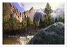 bvms_(new)_5x7_shup
