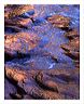 bwgc_8x10_iview_5x7_gs_5x7_