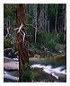 camr_8x10_iview_5x7_gs