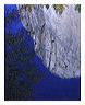 ecrf_8x10_iview_5x7_gs_5x_7