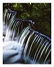 fern_8x10_iview_5x7_gs_5x7_