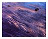 fmmg_8x10_iview_5x7_gs_5x_7