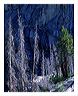 gftc_8x10_iview_5x7_gs_5x_7
