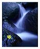 illm_8x10_iview_5x7_gs_5x_7