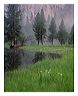 iris_5x7_shup