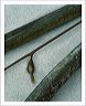 kelp_5x7s