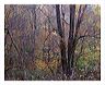 weth_8x10_iview_5x7_gs_5x_7